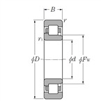 SKF NJ 422