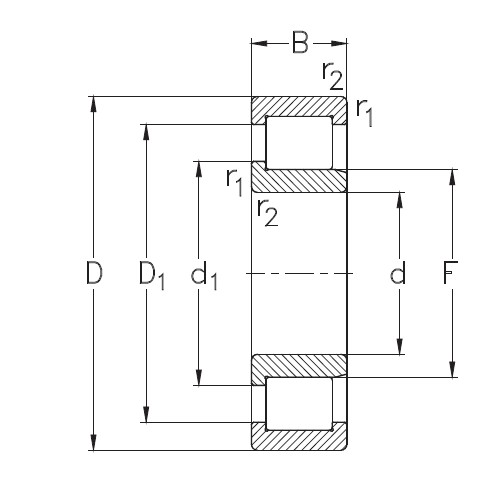 SKF NJG 2309 VH