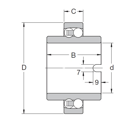 SKF 11206 TN9