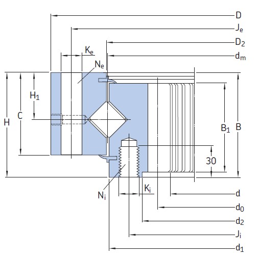 SKF RKS.512080101001