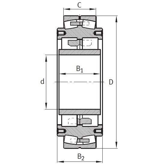 SKF 321569 B