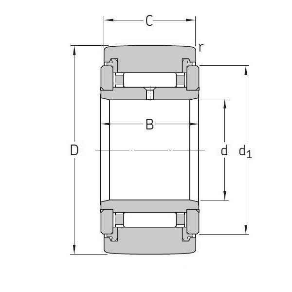 SKF NATR 20 PPA