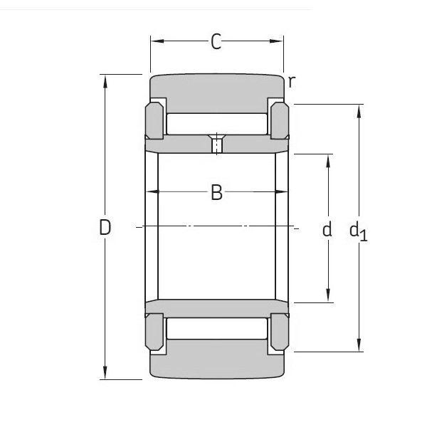 SKF NATV 20
