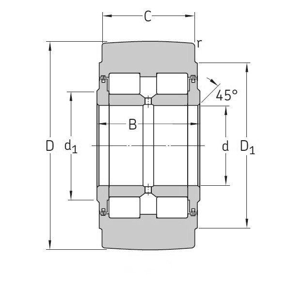 SKF NNTR 65x160x75.2ZL
