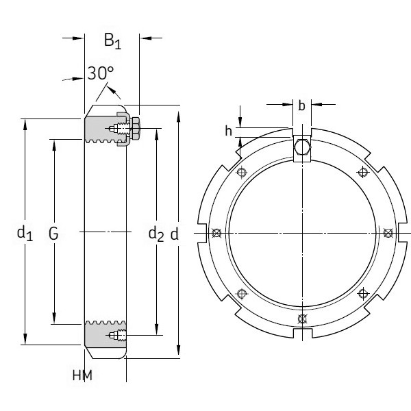 SKF HM 30/1120 Lock Nut